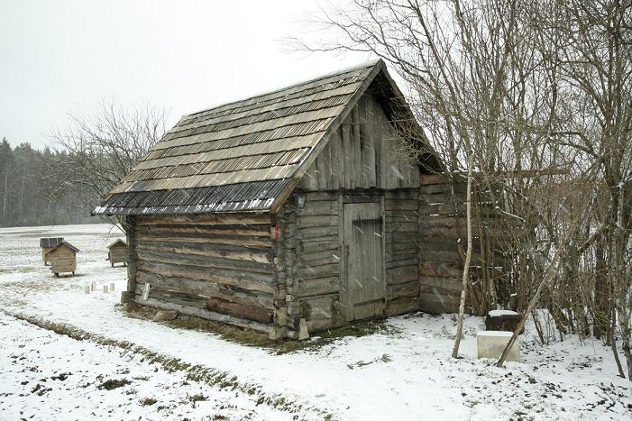 Sauna katus tarvis vahetada